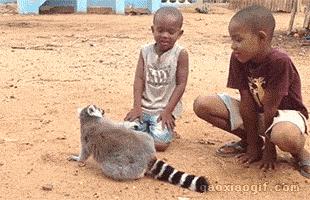 同步率1000%,同步率100%原视频