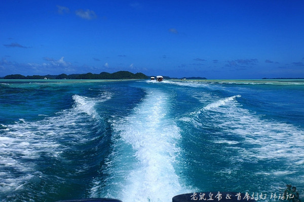 彩虹王国美术作品,彩虹王国紫色