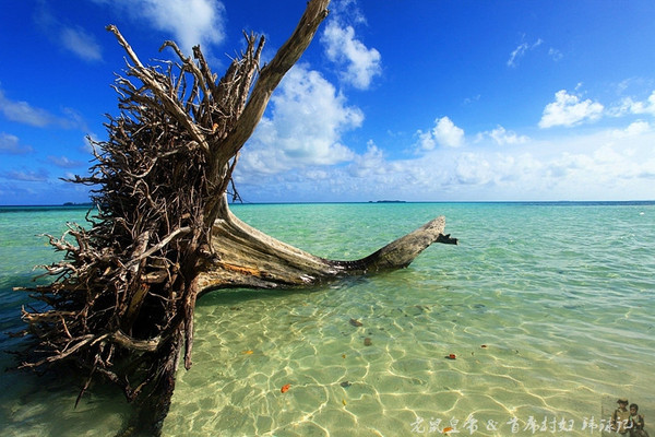 彩虹王国美术作品,彩虹王国紫色