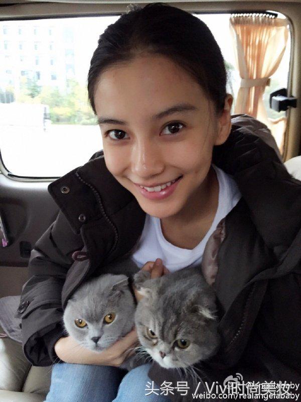 最美猫奴争夺战！铲屎官范冰冰、baby撞衫猫咪洋装谁出彩？