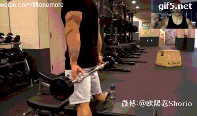 小臂肌肉群的训练动作名称,小臂肌锻炼的最佳方法