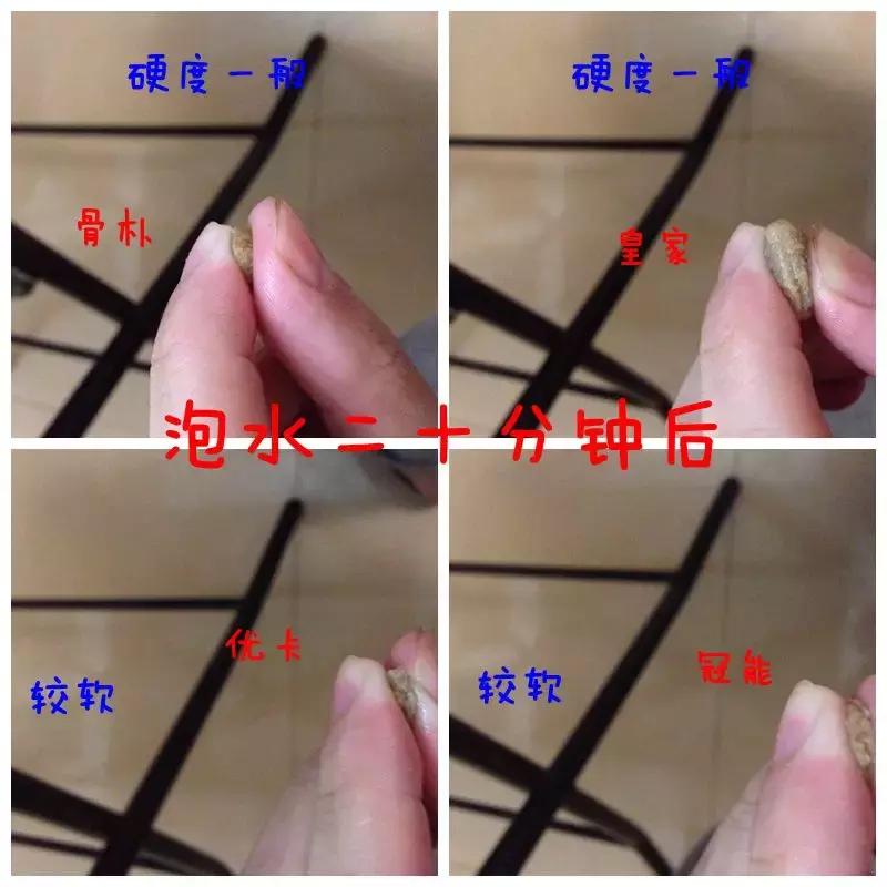 到底应该买什么狗粮,好的狗粮怎么买