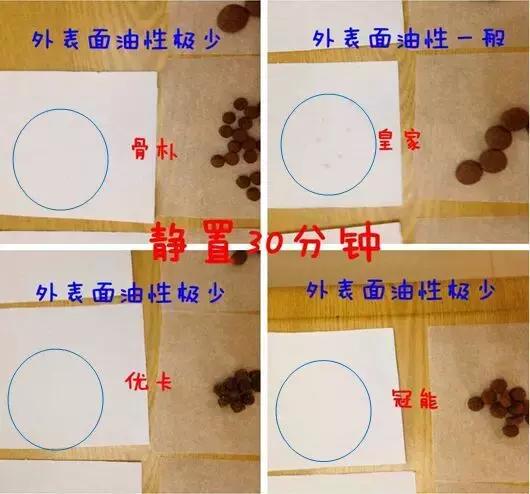 到底应该买什么狗粮,好的狗粮怎么买