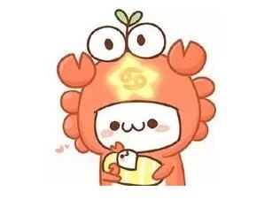 12星座如何开花店,盘点十二星座老板