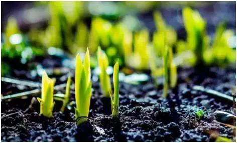 魔法集市活动,魔法集市2014