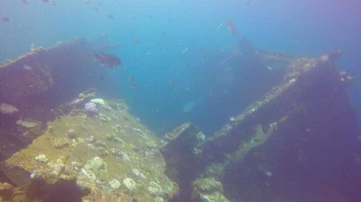 金莎张靓颖,张靓颖金莎