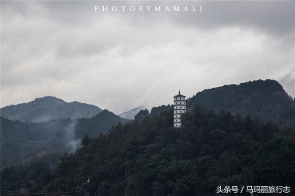 上山割茅草编茅草筐,农村割草竹筐手工编织教程