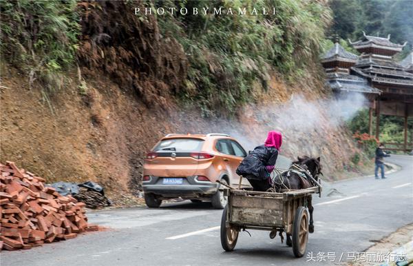 上山割茅草编茅草筐,农村割草竹筐手工编织教程
