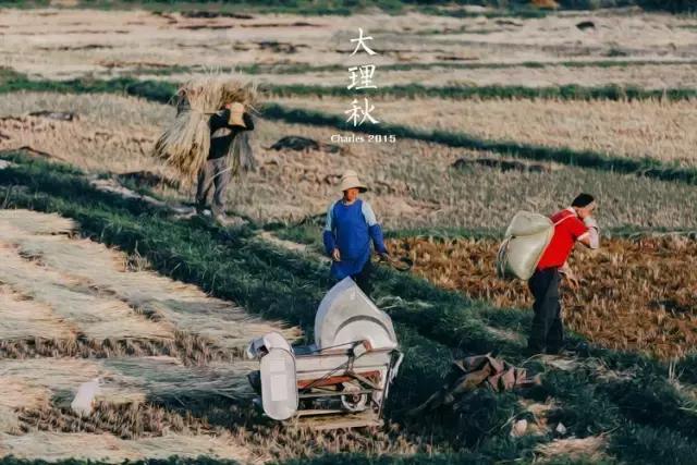 疯子charles课怎么样,疯子摄影师