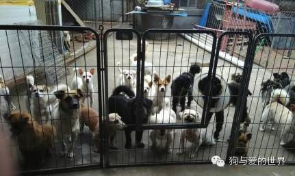 他们是最可爱的人文章700字 (他们是最可爱的人英语)