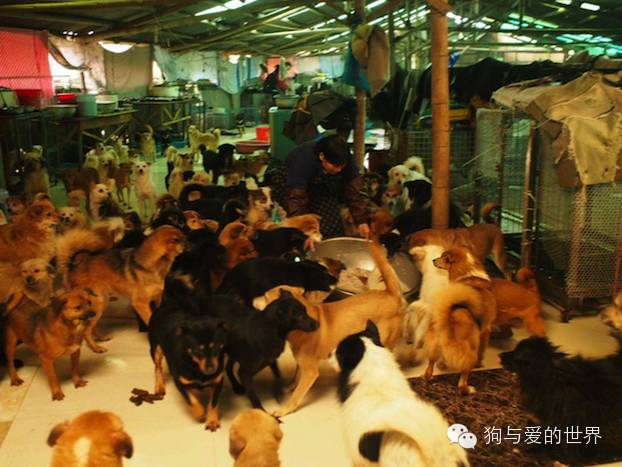 他们是最可爱的人文章700字 (他们是最可爱的人英语)