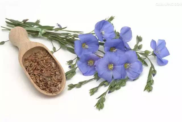 亚麻籽油应当怎么吃最好,亚麻籽油该怎么吃更好