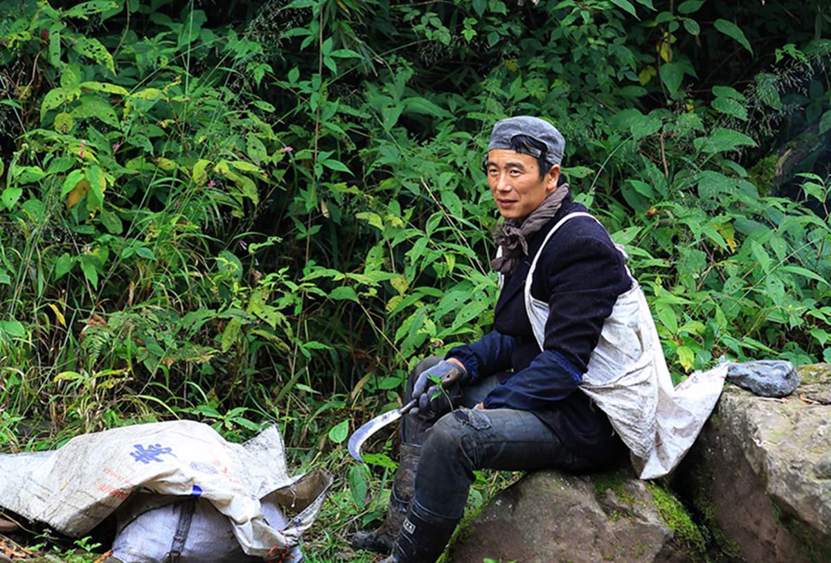西部刀手，行走于中国道教神山四川洪雅瓦屋山，暗藏杀伐之气！