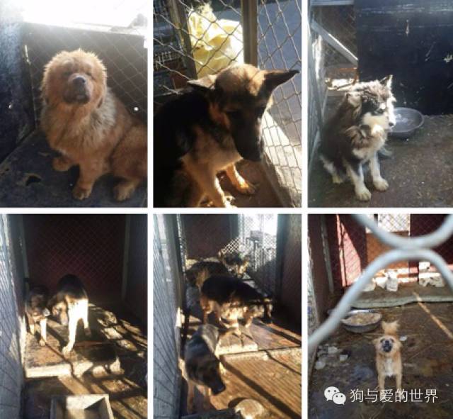 他们是最可爱的人文章700字 (他们是最可爱的人英语)