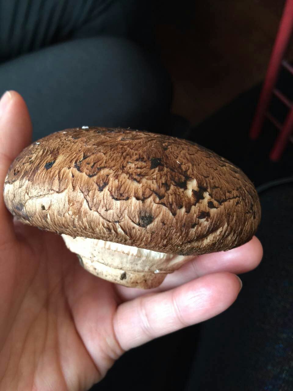 走吗约起之——外滩风气西餐咖啡。各位您约了吗？我在太原尖草坪