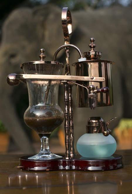 一杯1500元的黑象牙咖啡大象便便中的咖啡豆冲出的咖啡