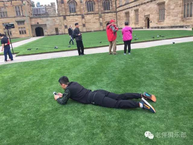 老伴自驾游好不好,6旬夫妻游欧洲