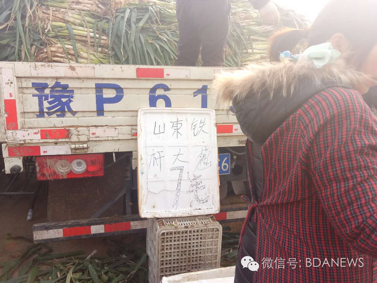 市场冬储菜,冬储菜热销