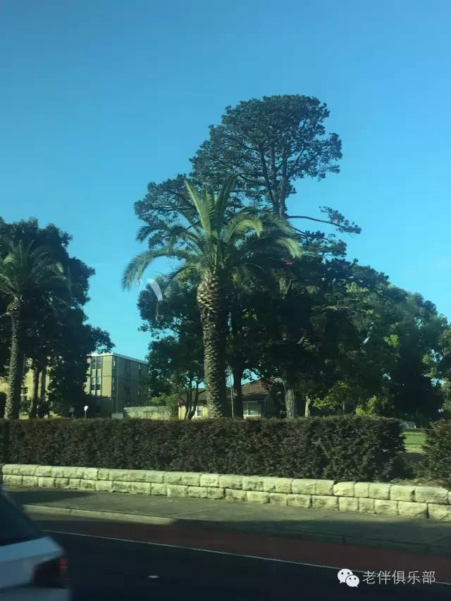 老伴自驾游好不好,6旬夫妻游欧洲