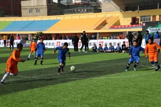 成都最近的青少年足球比赛,青少年足球锦标赛大获全胜