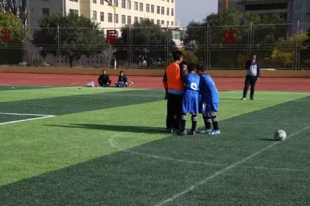 成都最近的青少年足球比赛,青少年足球锦标赛大获全胜