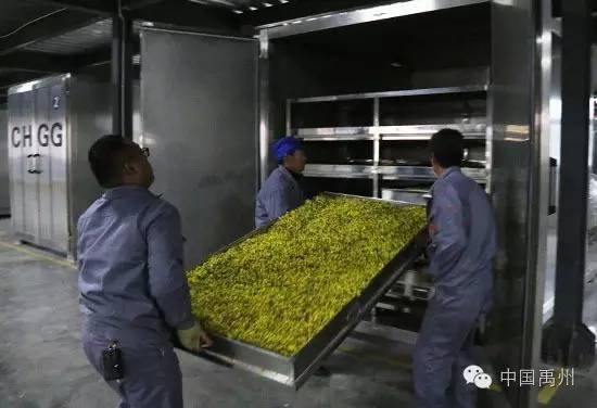 禹州市未来发展前景,禹州未来的发展方向