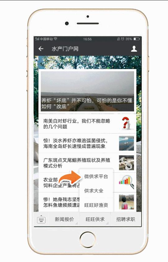 每亩扇贝养殖利润多少合适,长岛扇贝养殖户收入如何