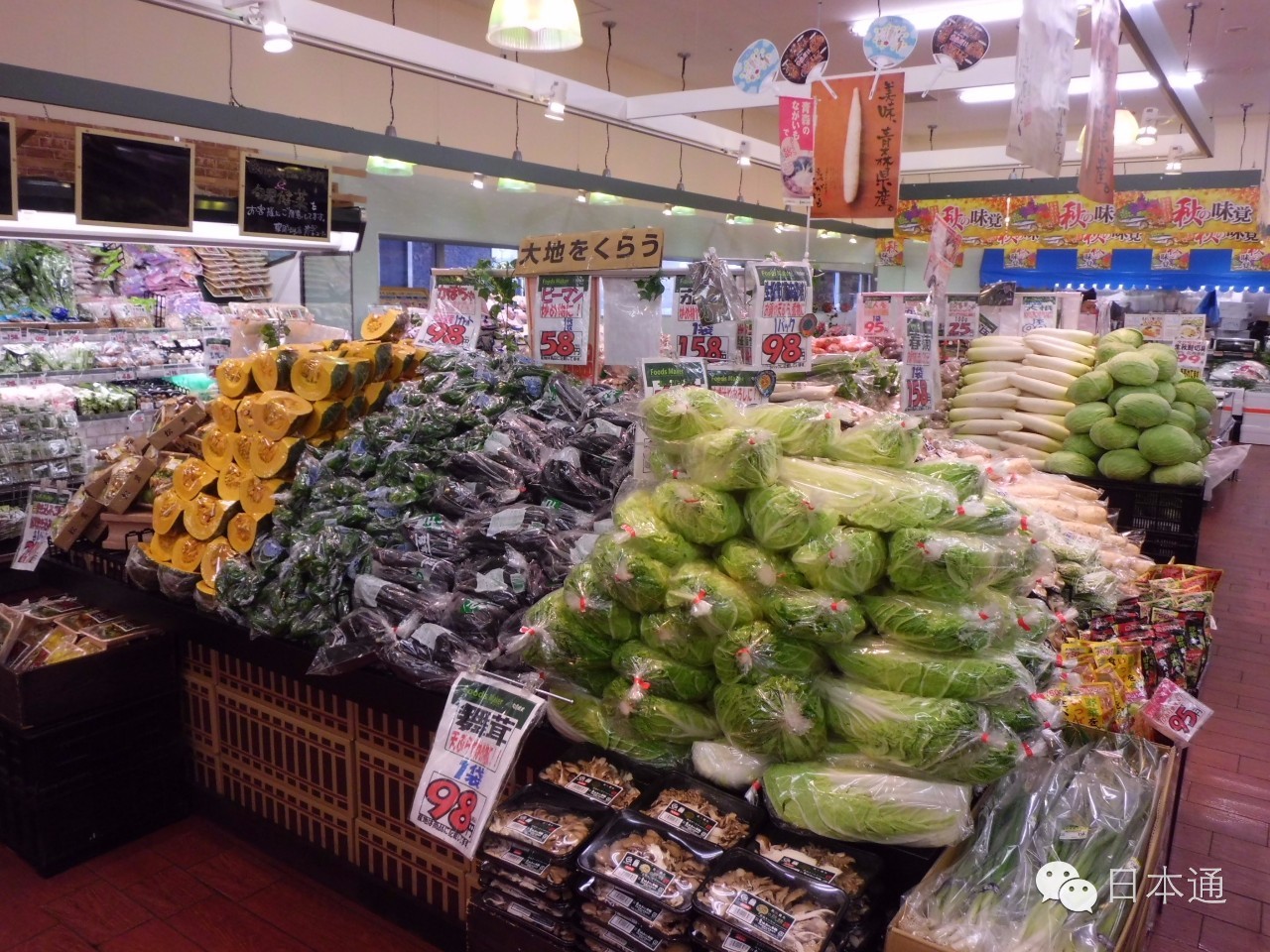 双十一去日本值得买的东西,去日本购物攻略