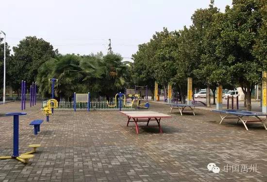 禹州市未来发展前景,禹州未来的发展方向