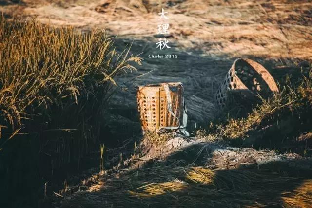 疯子charles课怎么样,疯子摄影师