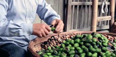 怎么吃香榧简单,香榧是圆榧好还是尖榧好