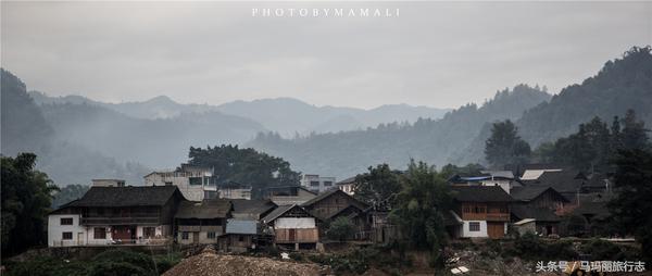 上山割茅草编茅草筐,农村割草竹筐手工编织教程