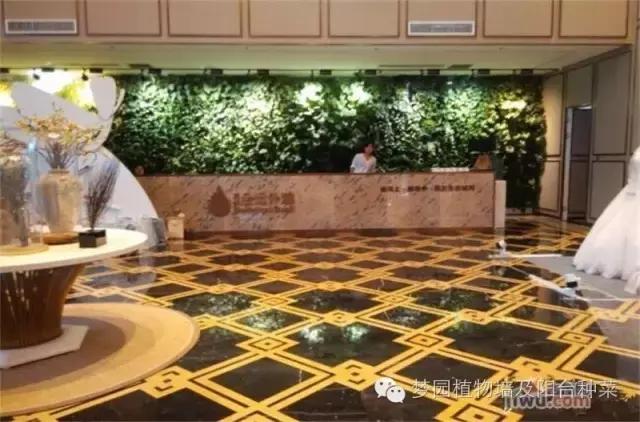 室内植物墙安装效果,室内植物墙有什么优点