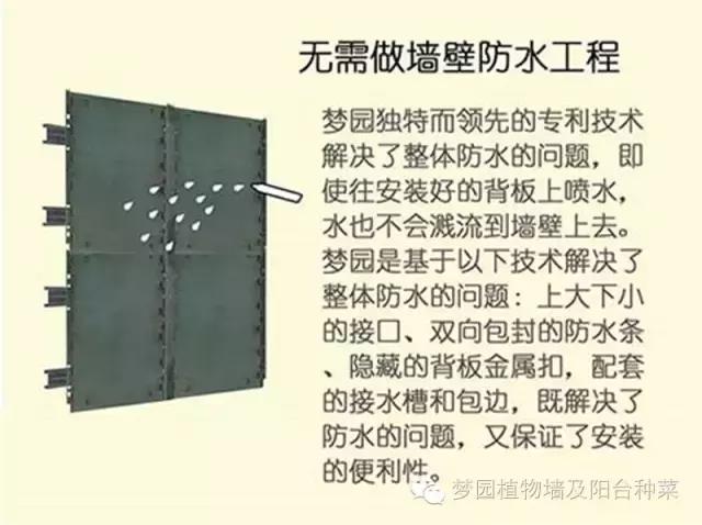 室内植物墙安装效果,室内植物墙有什么优点