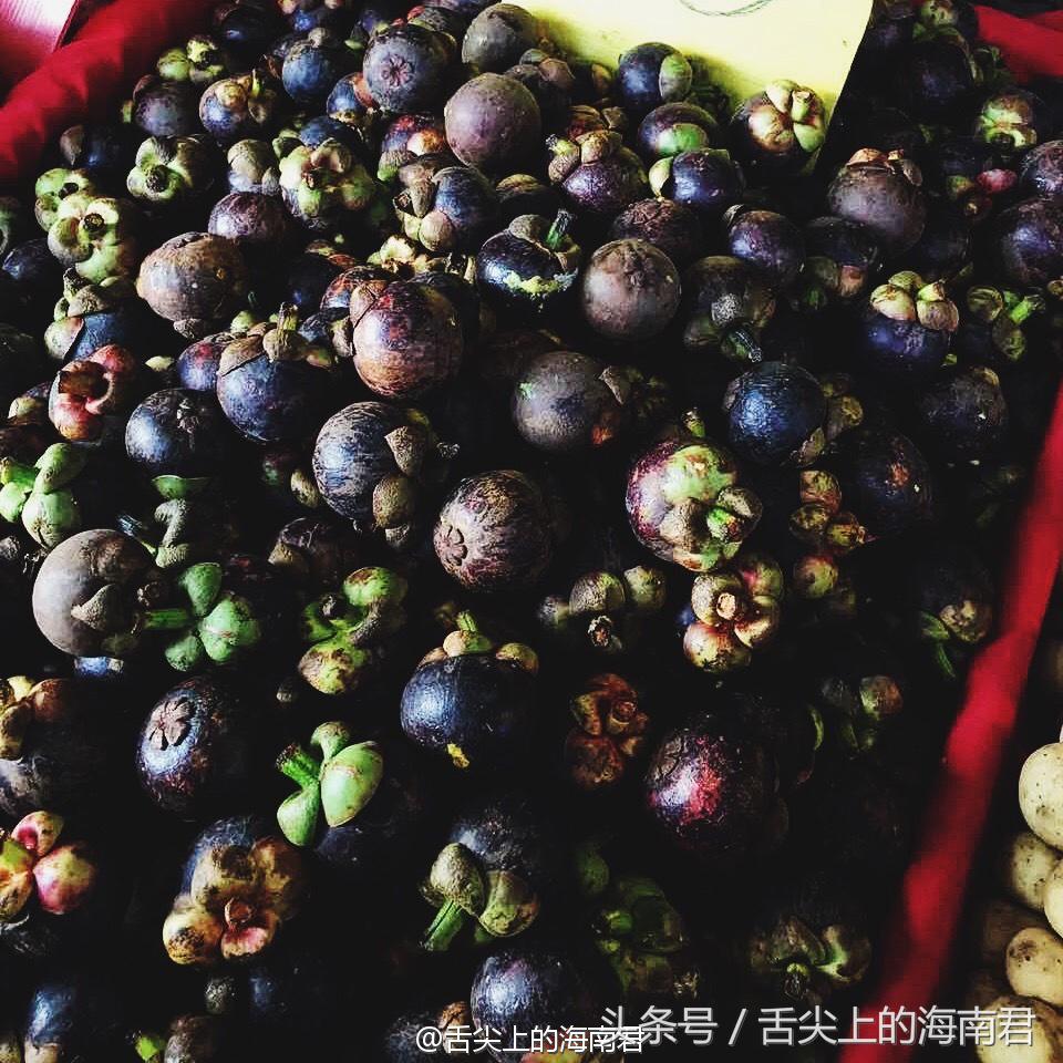 一个海南人吃东北菜,一个海南吃货在广东