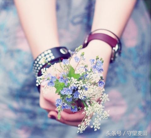 梦里花落知多少全文,梦里花落知多少