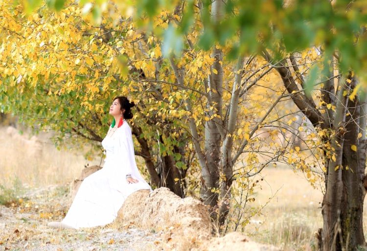 我在秋天等你是什么歌,我在秋天等你美到心碎散文