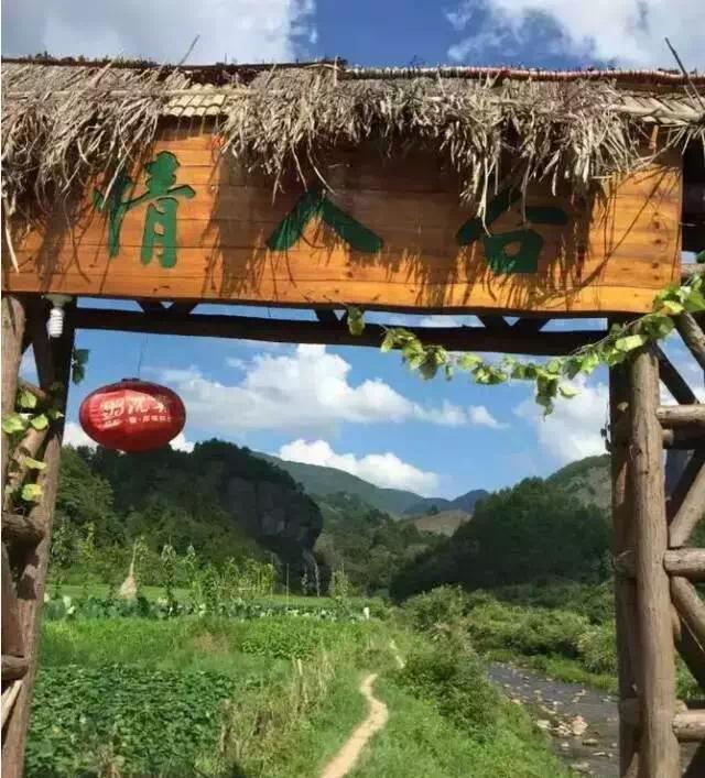 旅游景点双十一,双十一不想剁手想去玩
