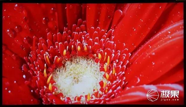 选电视需要看哪些数据,电视选什么样的电视好