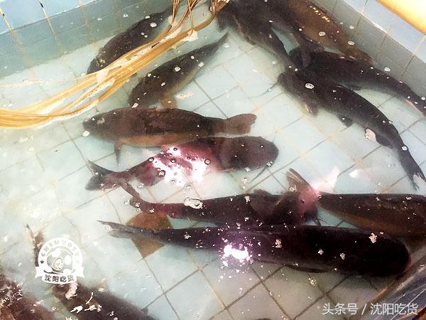 热气腾腾的铁锅炖鱼看起来好美味,铁锅炖鱼真的好吃