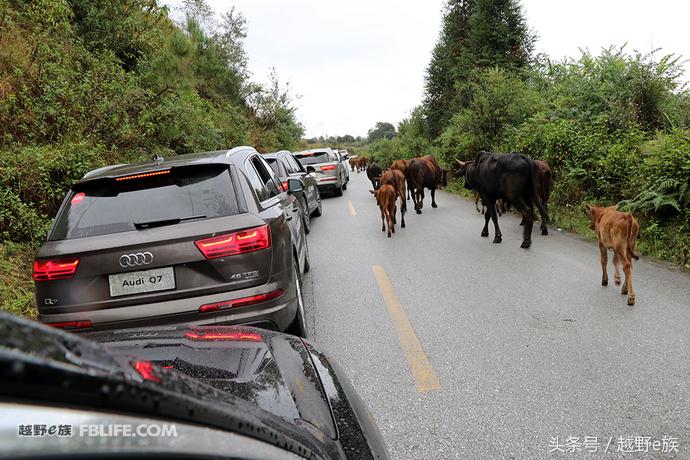 无畏前行与奥迪q7赴一场异域之约,奥迪q7开拓人生无畏前行