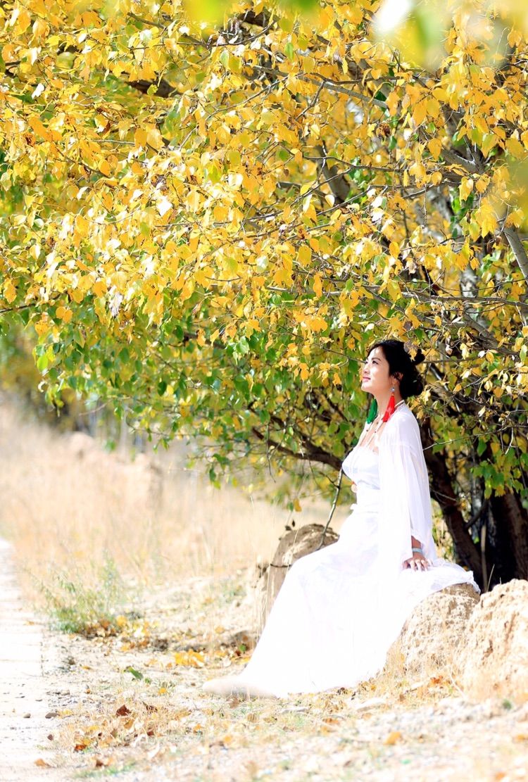 我在秋天等你是什么歌,我在秋天等你美到心碎散文