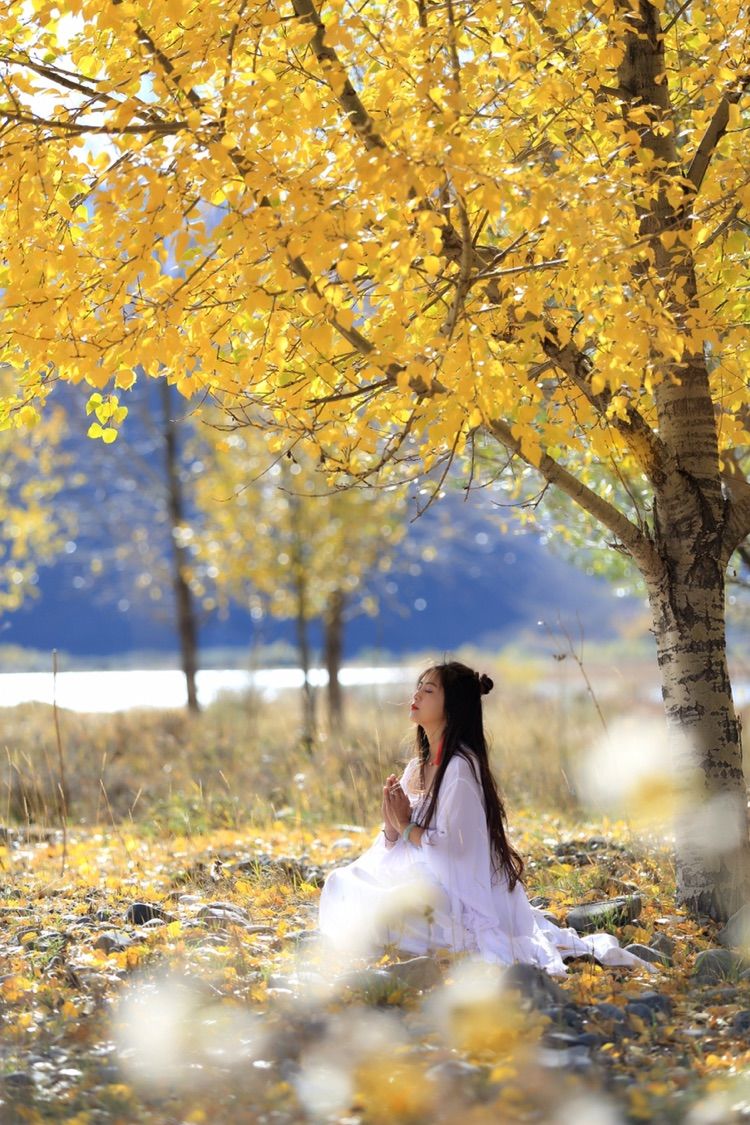 我在秋天等你是什么歌,我在秋天等你美到心碎散文