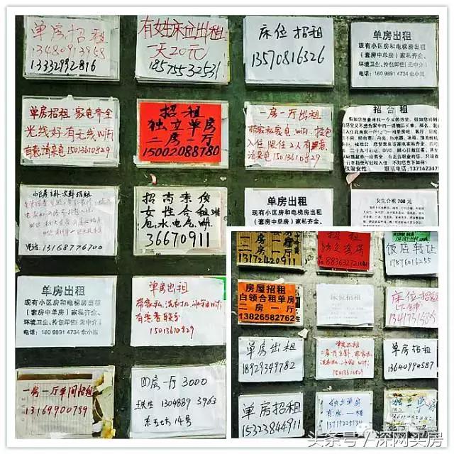 深圳岗厦cbd,深圳城中村探访视频