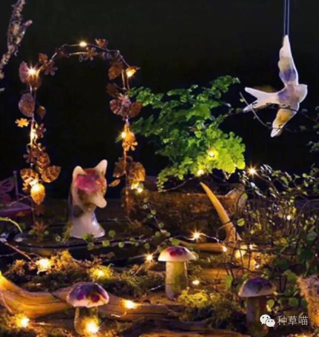 看到这些美物还说不想结婚的，你牛逼！