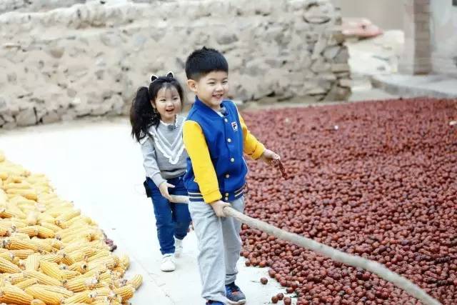 爸爸去哪儿第四季阿拉蕾和董力,爸爸去哪儿第四季免费观看完全