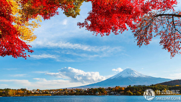 最佳ips屏幕笔记本推荐,高分屏笔记本和ips屏幕哪个好