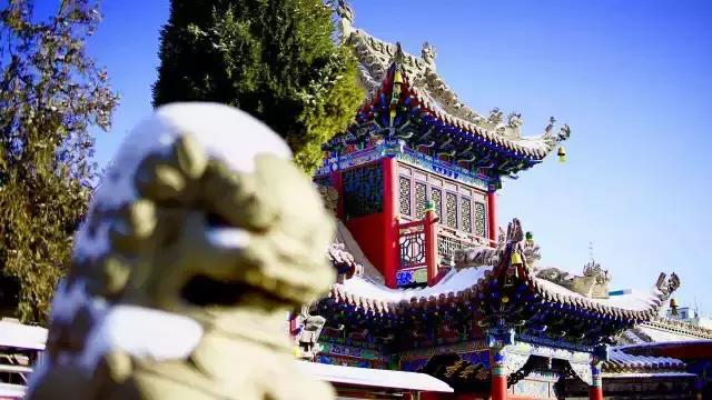 只有新疆人才能看懂的视频,只有1%的人才能看懂的东西