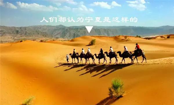 只有新疆人才能看懂的视频,只有1%的人才能看懂的东西