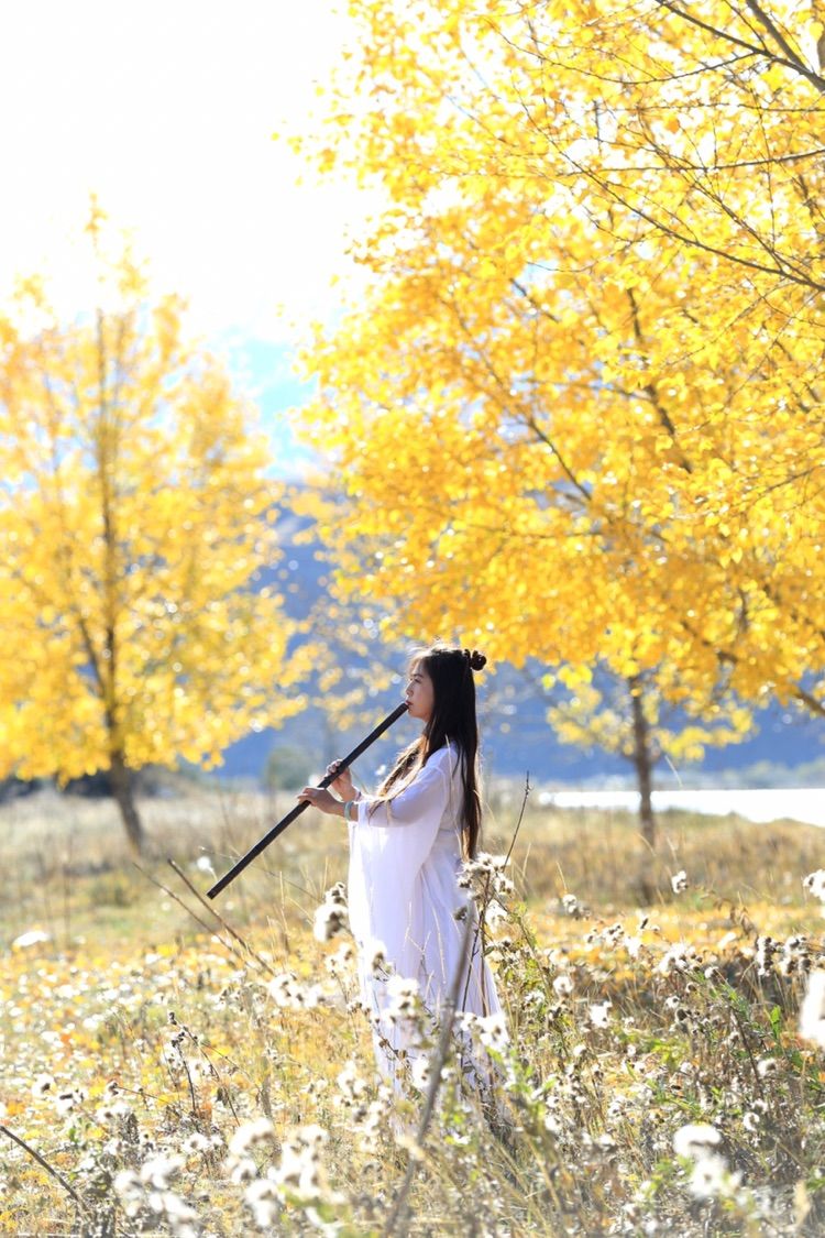 我在秋天等你是什么歌,我在秋天等你美到心碎散文